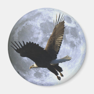 Aigle volant et aimant PLEINE LUNE de la faune