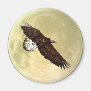 Aigle volant et aimant PLEINE LUNE de la faune