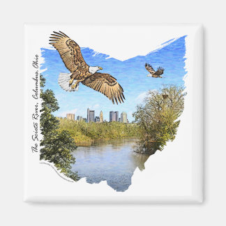 Aigles Scioto River Columbus Ohio Magnet