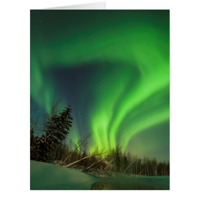 Aiguille d'épinette (Devant)