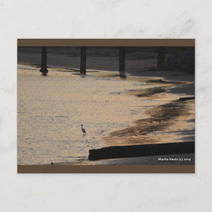 Aiguille sur la Rive II   Carte postale Blue Beach