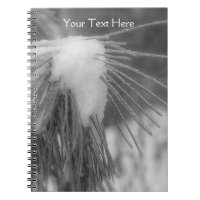 Aiguilles De Pins Dans Le Carnet Naturel De Neige 
