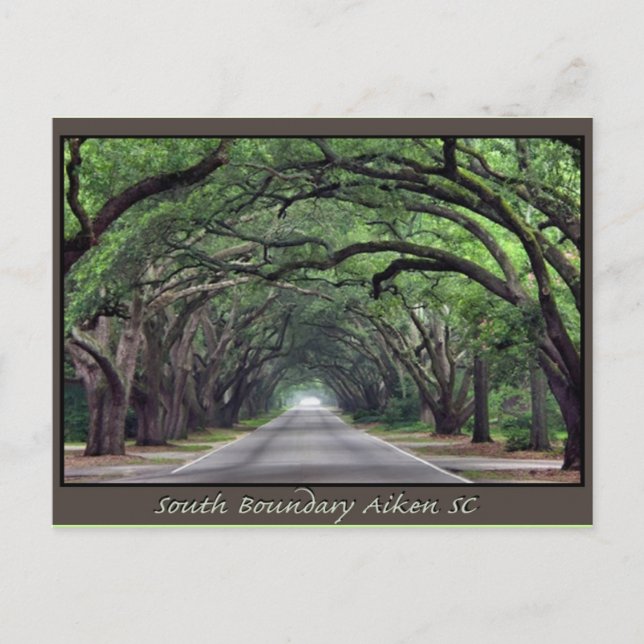 Aiken SC postage South Boundary Postcard (Front)