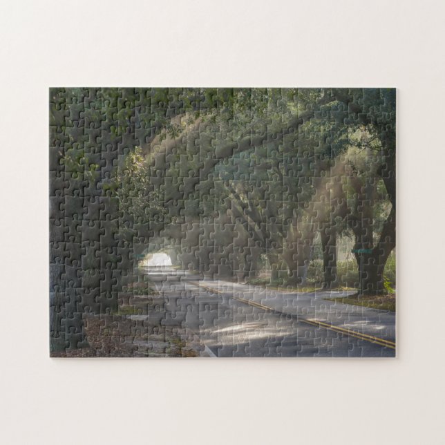 Aiken, SC, South Boundary Ave. Live Oak Tunnel Jigsaw Puzzle (Horizontal)