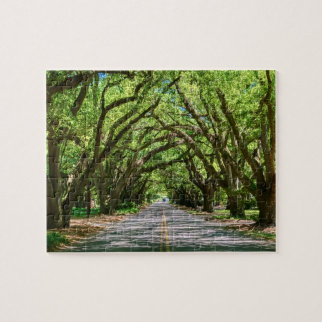Aiken's South Boundary jigsaw puzzle (Horizontal)