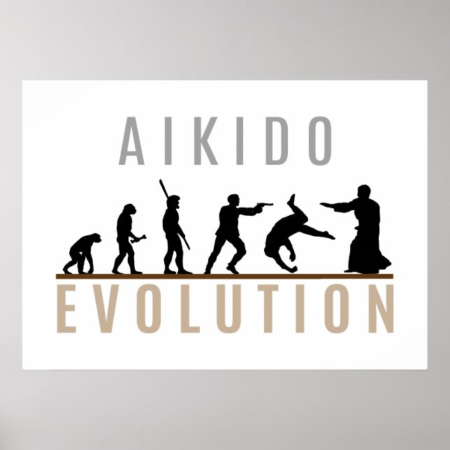 Aikido Evolution Poster (Front)