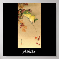 Aikido Japanese Martial Art