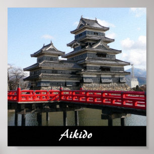 Aikido Japanese Martial Art Poster