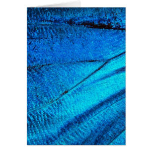 Aile à papillon bleu Iridescente
