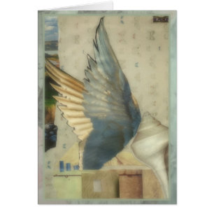 Ailes