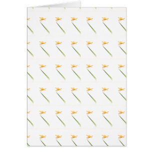 Ailes d'ambre tout autour