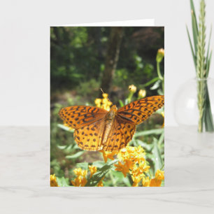 Ailes de curiosité (3) Carte de voeux