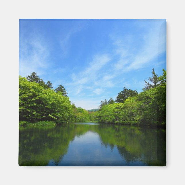 AIMANT 軽井沢・夏の雲場池 (Devant)