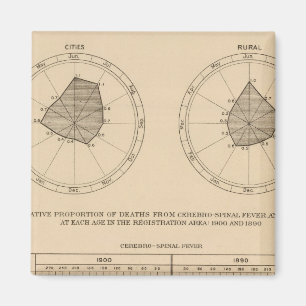 Aimant 118 Décès de la fièvre cérébrospinale