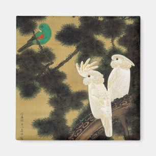 Aimant 12. 老 松 鸚 鵡 図, 冲 Pin-tree & Parrot, Jakuchu, 若