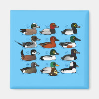 12 Canards