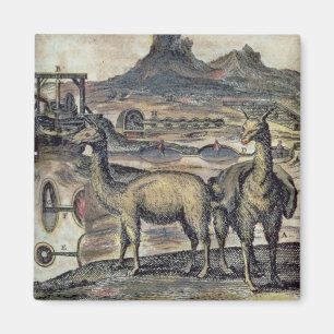 Aimant 137-0627924 illustration d'une histoire du Pérou