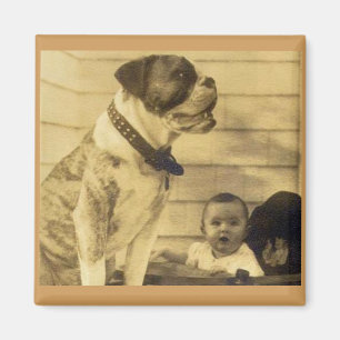 Aimant 1920s pitbull guards baby