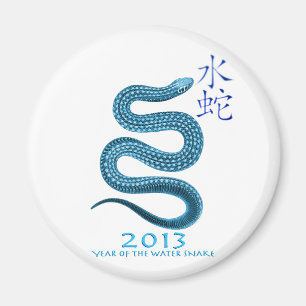 AIMANT 2013