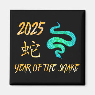Aimant 2025 Année Du Serpent