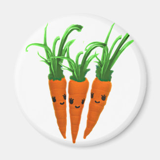 Aimant 3 carottes