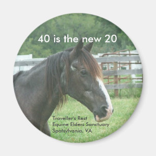 Aimant 40 est les nouveaux 20