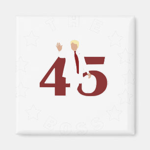 AIMANT 45