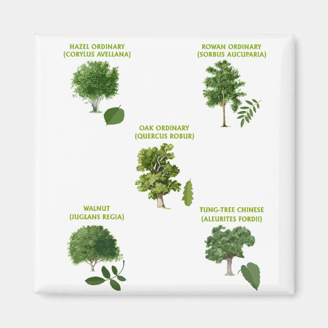 Aimant 5 Arbres (Devant)