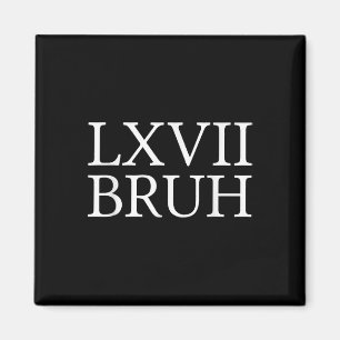 Aimant 67 Mème d'histoire Six Sept Bruh Prof d'histoire d