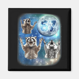 Aimant 67 Meme Trois Raton Laveur Hurle à la Lune 67 