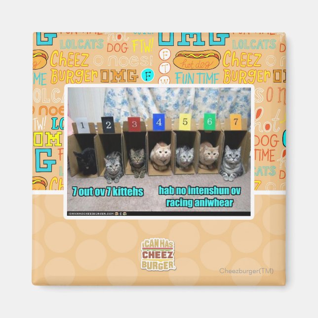 Aimant 7 out ov 7 kittehs (Devant)