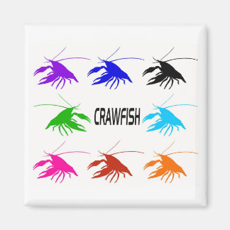 Aimant 8 crawfish
