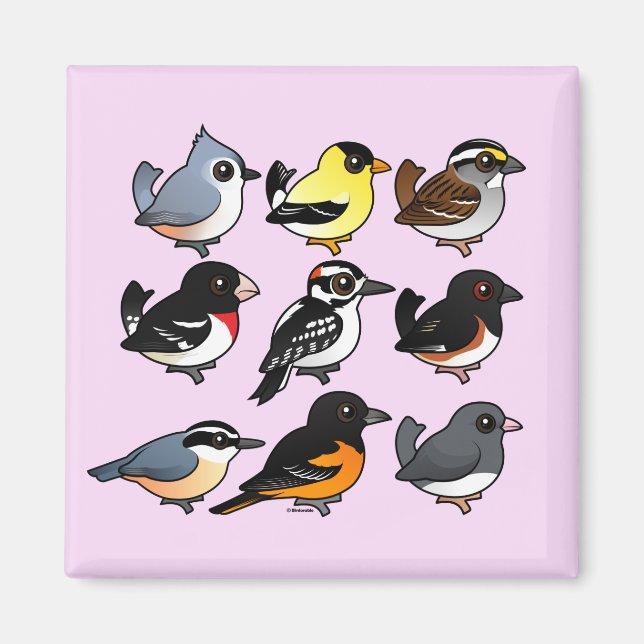 Aimant 9 Oiseaux de Jardin du nord-est des États-Unis (Devant)