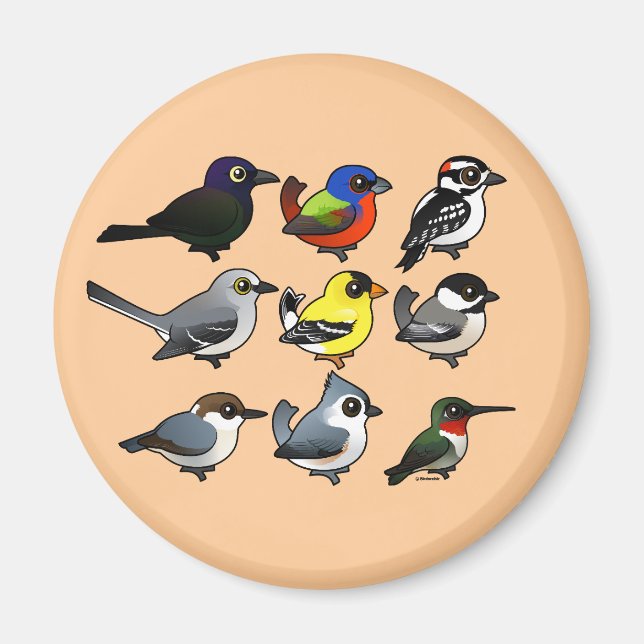 Aimant 9 Oiseaux de Jardin du sud-est des États-Unis (Devant)