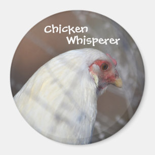 Aimant à balai de poulet
