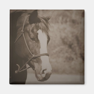 Aimant à cheval vintage