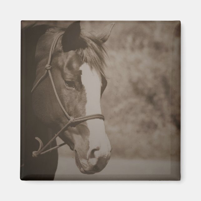 Aimant à cheval vintage (Devant)