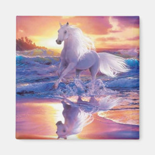 Aimant à étalon blanc