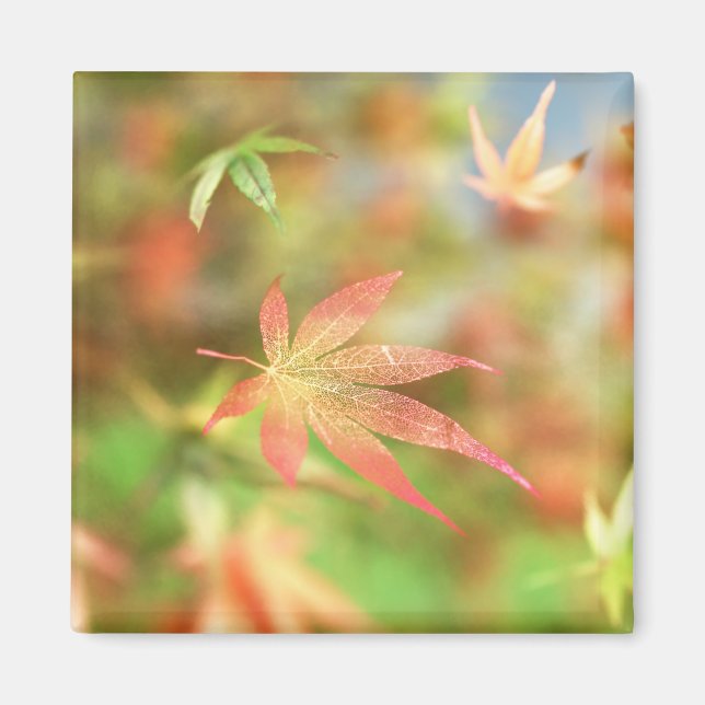 Aimant à fibres d'automne (Devant)