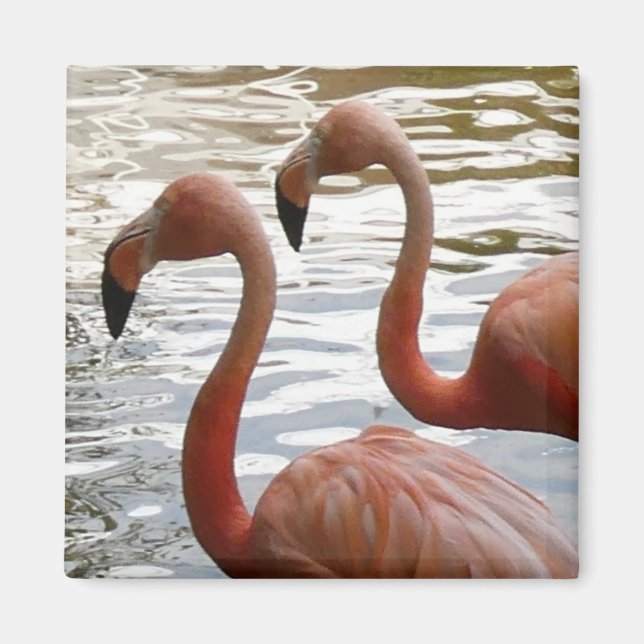 Aimant à Flamant rose tropical (Devant)
