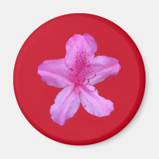 Aimant à fleur