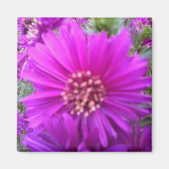 Aimant à fleur (Devant)