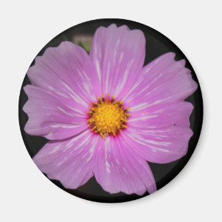 Aimant à fleur