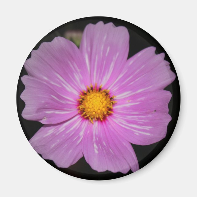 Aimant à fleur (Devant)