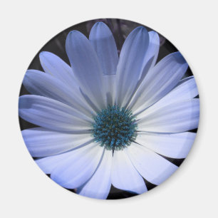 Aimant à fleur bleu marron