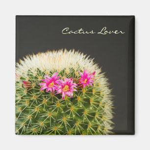 Aimant à fleur de cactus
