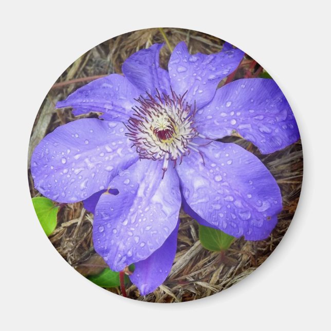 Aimant à fleurs violettes (Devant)