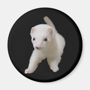 Aimant à furet pour bébé blanc
