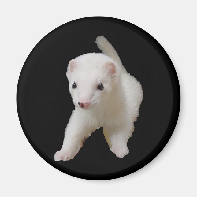 Aimant à furet pour bébé blanc (Devant)