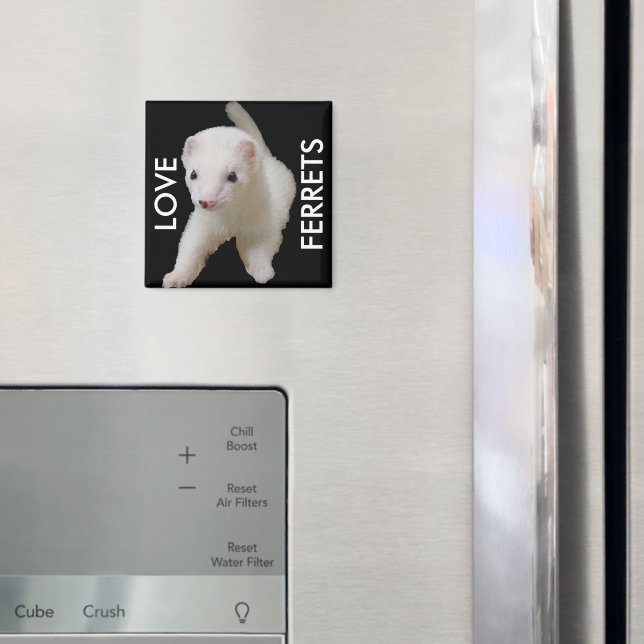 Aimant à furet pour bébé blanc (In situ (réfrigérateur))